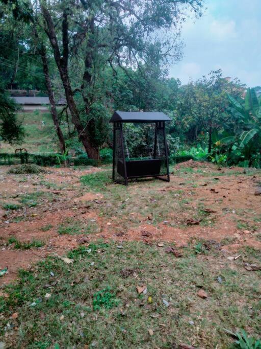 A Quaint Cottage With Rajah'S Seat View. Madikeri Exterior photo